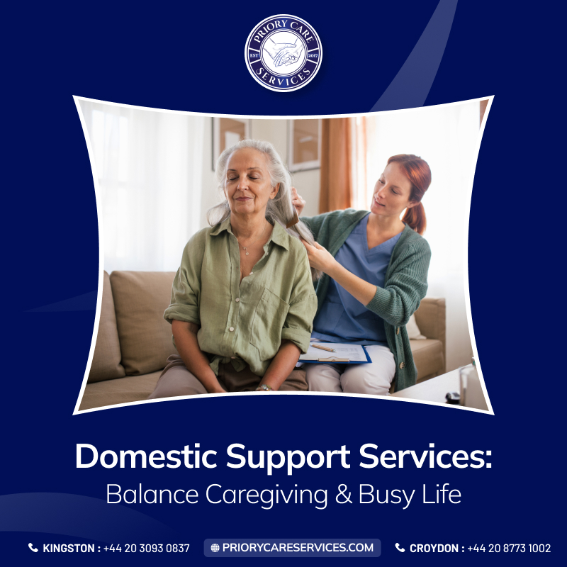 Domestic Support Services: Balance Caregiving and Busy Life